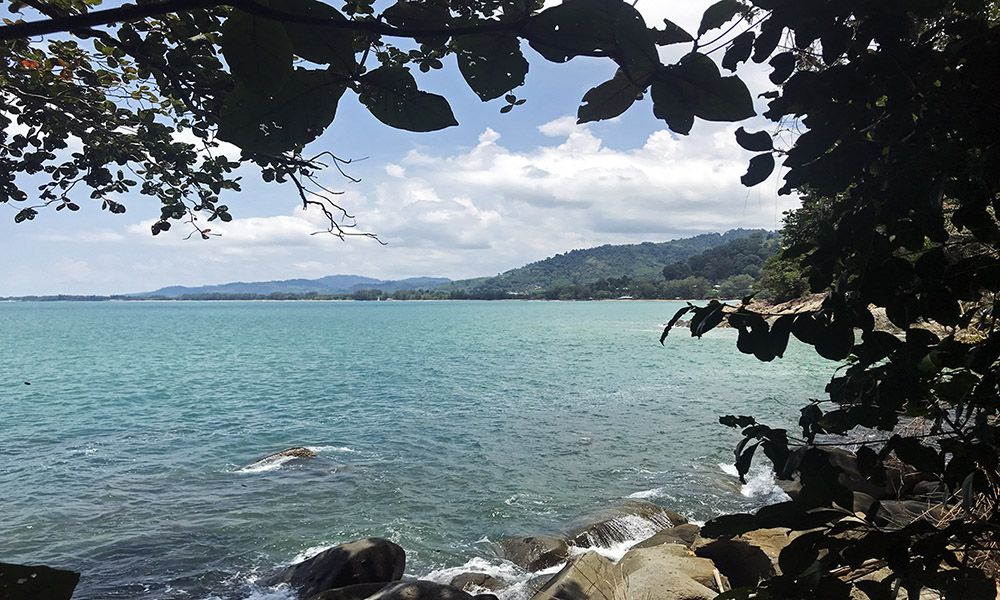 grijsopreis-thailand-highlight-khao-lak-nature-trail-mobiel Nature trail langs de kust bij Khao Lak, Thailand