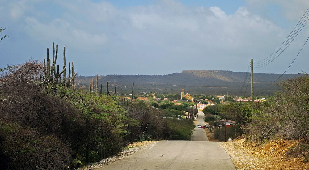 grijsopreis-caraibisch-nederland-bonaire-binnenland-mobiel binnenland Bonaire