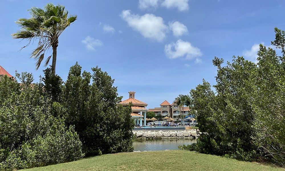 grijsopreis-caraibisch-nederland-aruba-highlight-golf-resort-mobiel Resort bij Divi Aruba